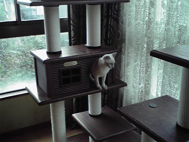 a0090729_7291874.jpg