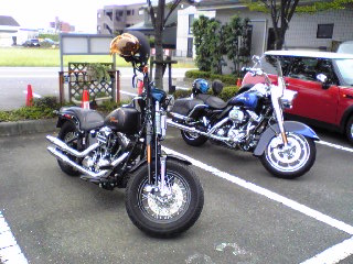 a0099129_1752420.jpg