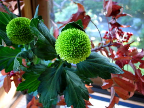 c0077129_21311796.jpg