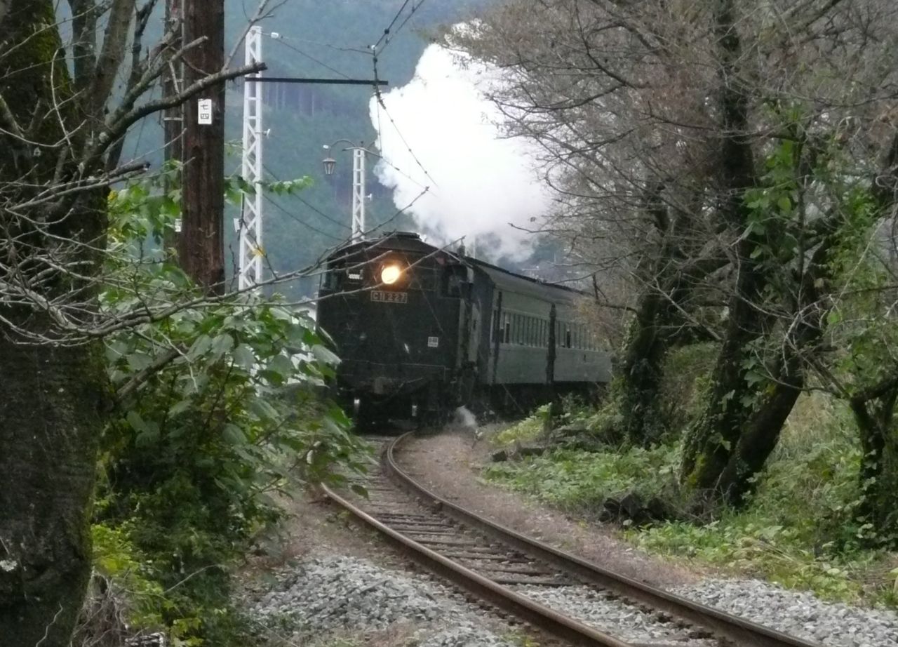e0033229_19384525.jpg