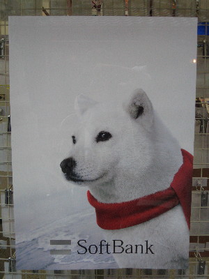 f0068334_2013926.jpg