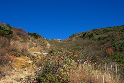 c0014035_1661592.jpg