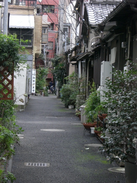 e0105846_2103757.jpg