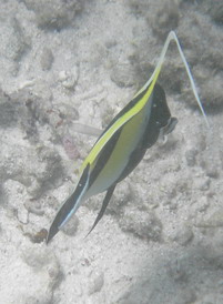 f0071647_18432458.jpg