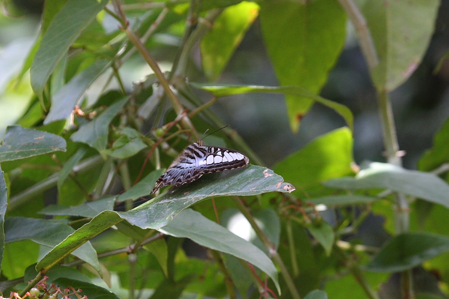 a0094850_733145.jpg