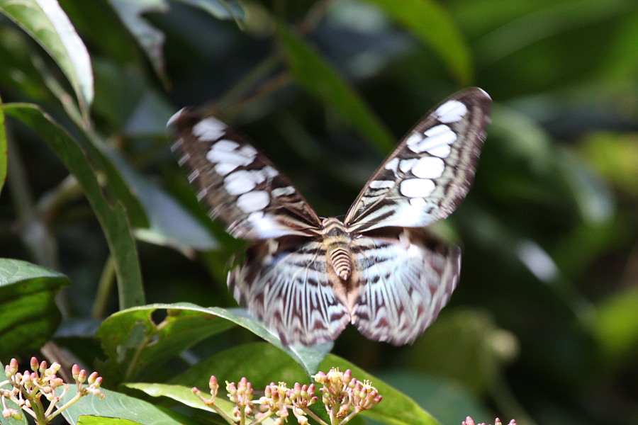 a0094850_7343920.jpg