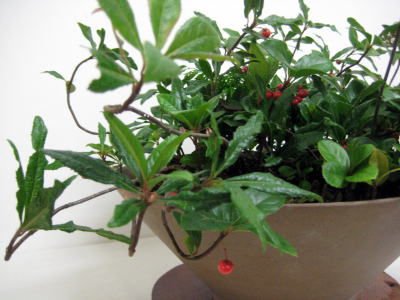 c0147952_2248623.jpg
