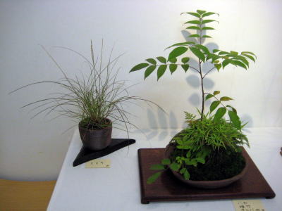 c0147952_2251313.jpg