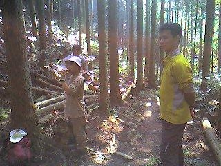 c0085163_11374680.jpg