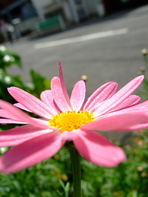 d0102664_0225847.jpg