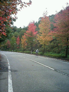 c0132865_1327536.jpg