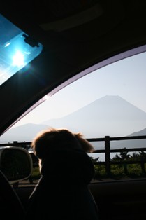 c0108981_1810596.jpg