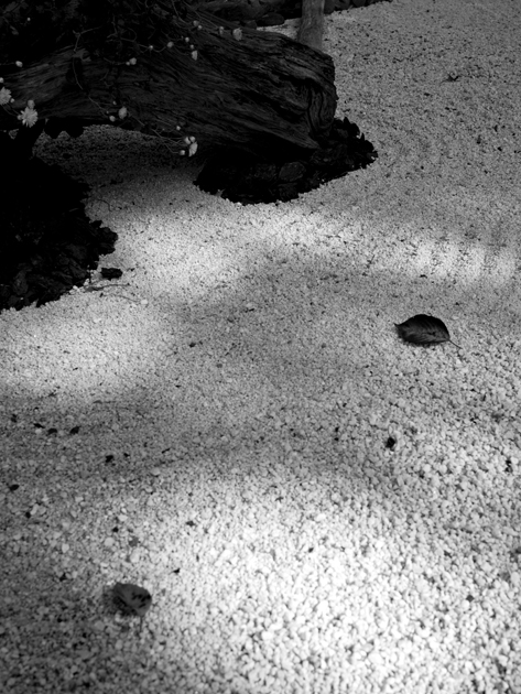 d0152981_22564870.jpg