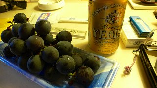 b0042882_058163.jpg