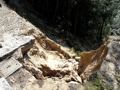 d0142082_21323944.jpg