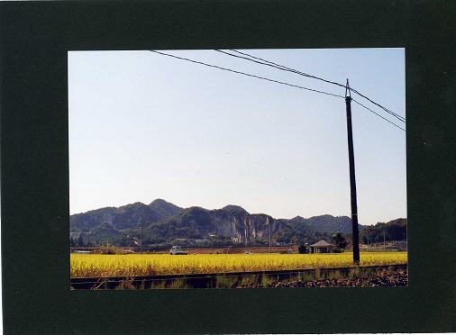 c0046587_221105.jpg