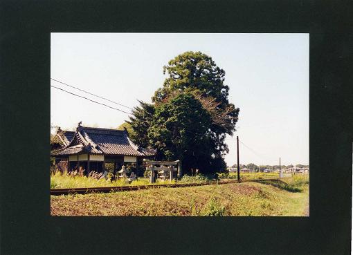 c0046587_22111885.jpg