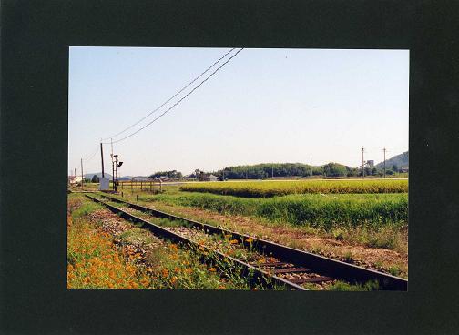 c0046587_22121962.jpg