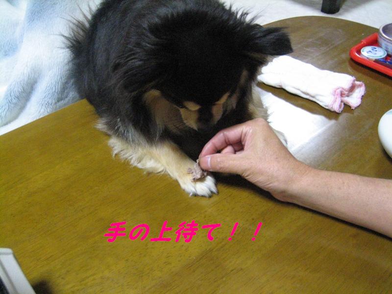 b0150088_22284830.jpg