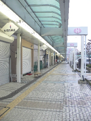 f0103688_8284891.jpg