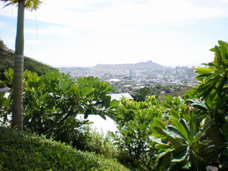 c0153292_11354966.jpg