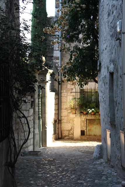 f0044892_6203354.jpg