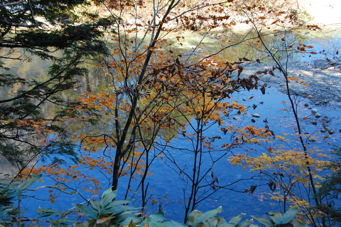b0143293_8574122.jpg