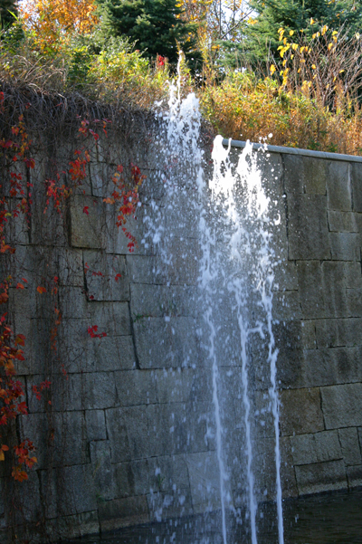 f0001895_1743099.jpg