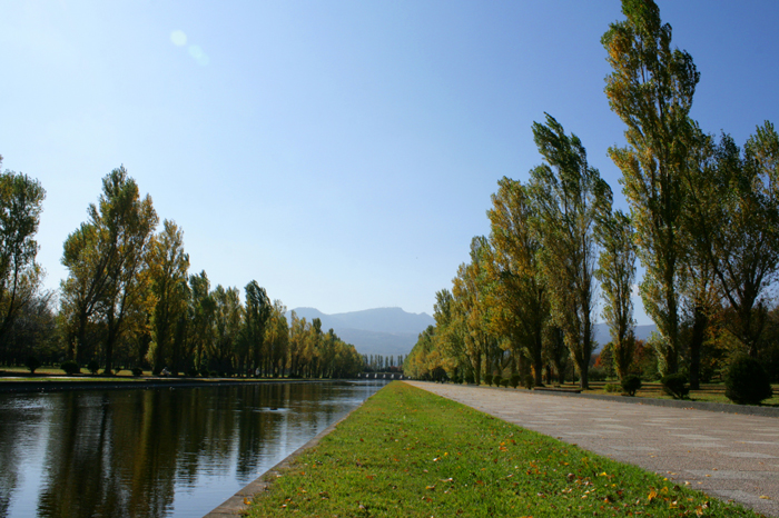 f0001895_17435459.jpg