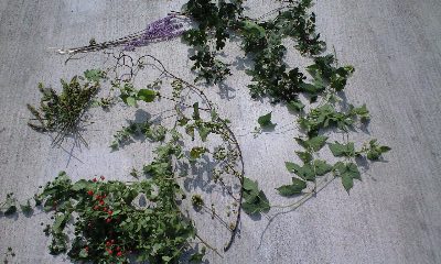 b0083902_046799.jpg