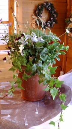 c0152002_21175416.jpg