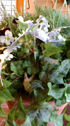 c0152002_21182327.jpg
