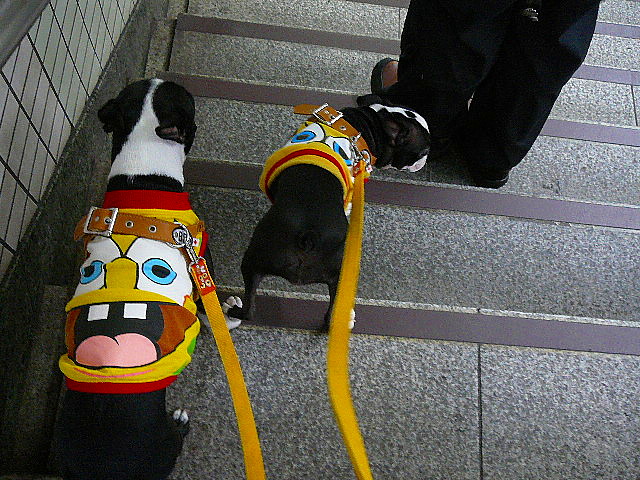 d0070702_1640315.jpg