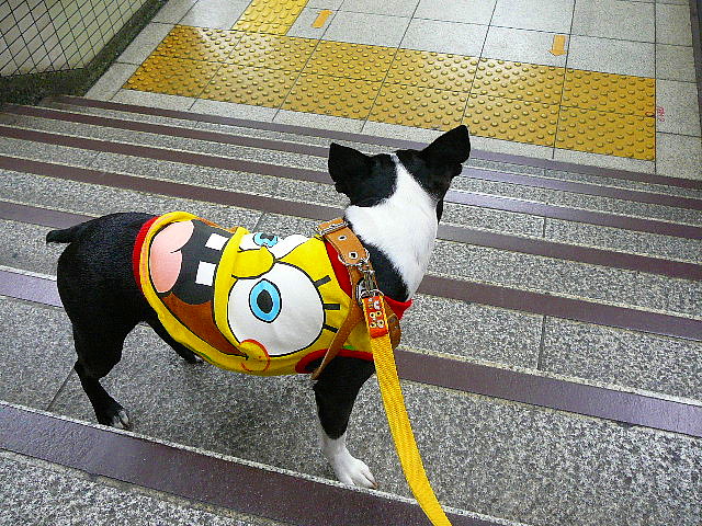d0070702_16424134.jpg