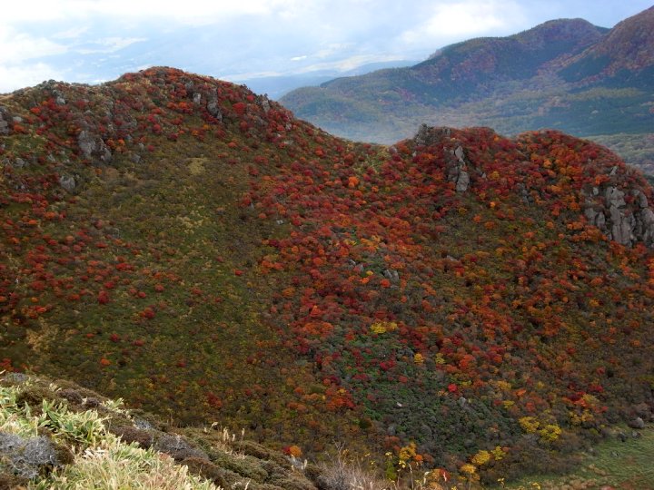 f0187402_18402691.jpg