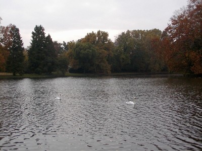f0021504_3524712.jpg