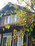 c0148705_21392719.jpg