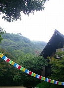 c0148705_21474291.jpg