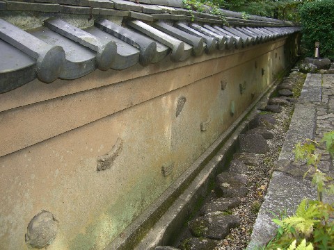 d0007913_1723636.jpg