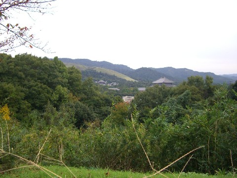 d0007913_17241434.jpg