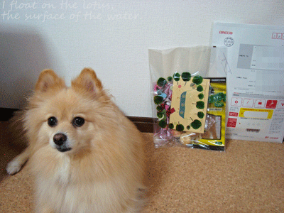 b0075318_12551499.gif