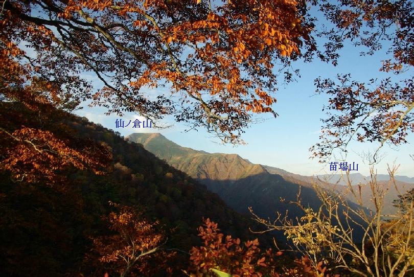 b0062024_80429.jpg