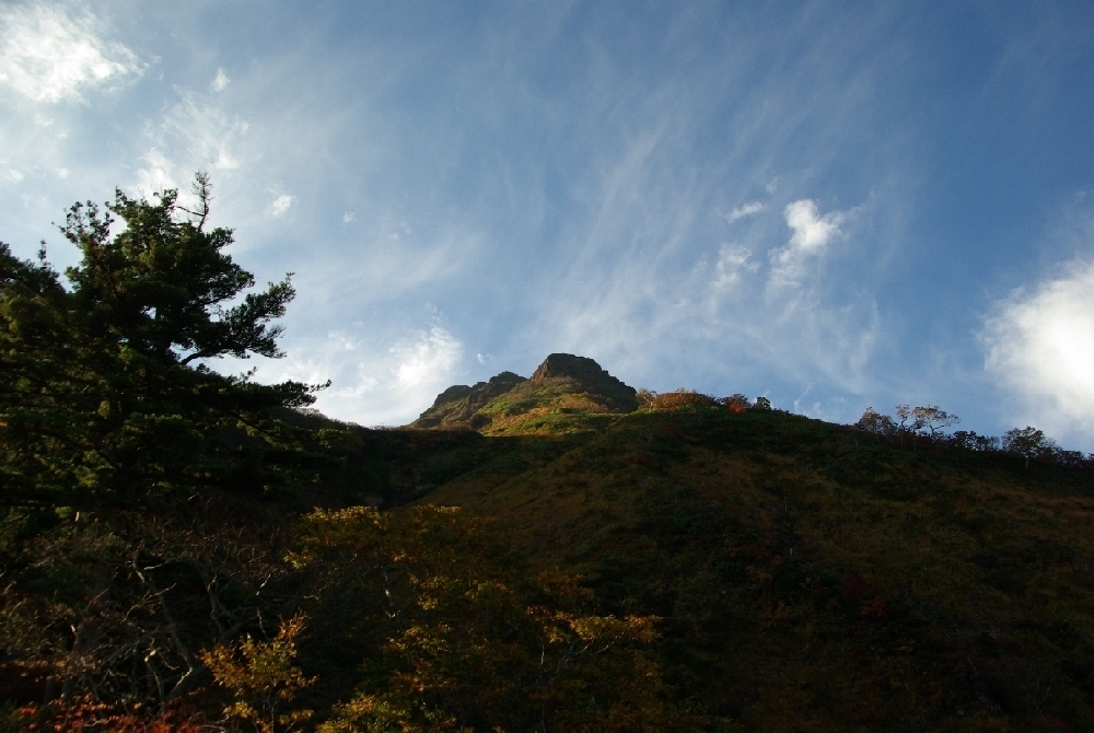 b0062024_8152080.jpg