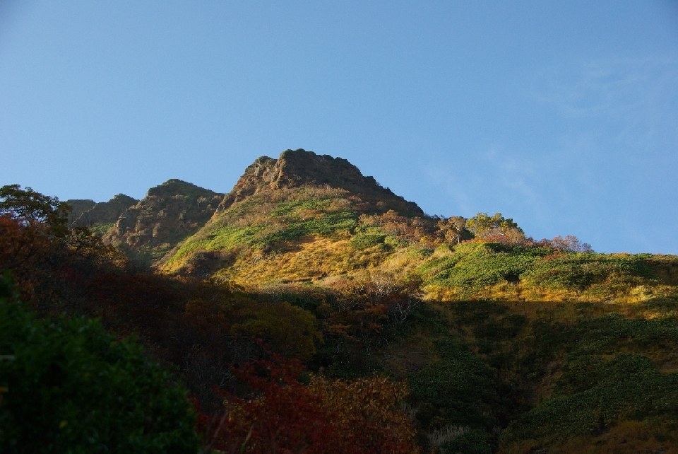 b0062024_8312691.jpg
