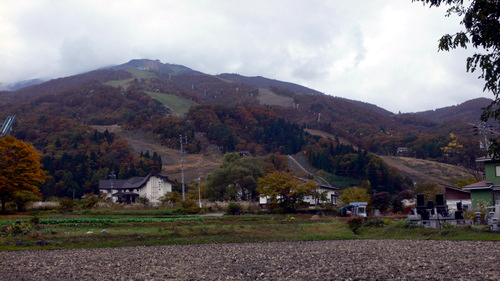 f0060424_231517.jpg