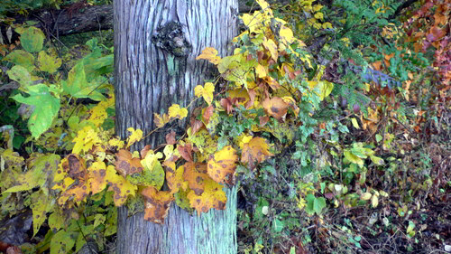 f0060424_23243689.jpg