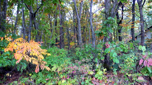 f0060424_2325493.jpg
