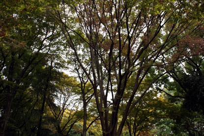 f0137324_9175449.jpg