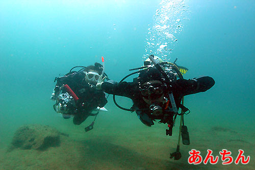 b0044726_925055.jpg