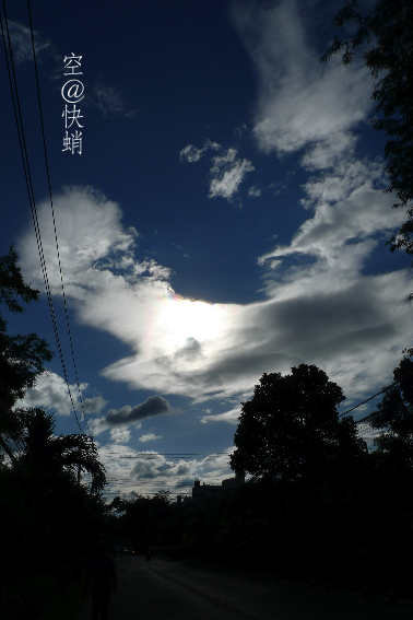 d0042827_2204528.jpg